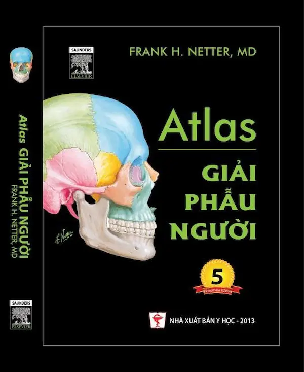 Atlas giải phẫu người - Ấn bản lần thứ 5