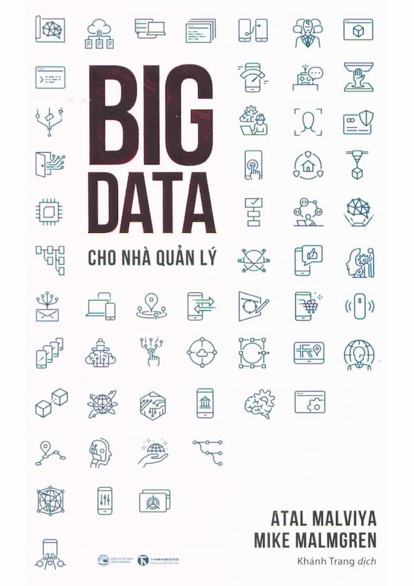 Big Data cho nhà quản lý