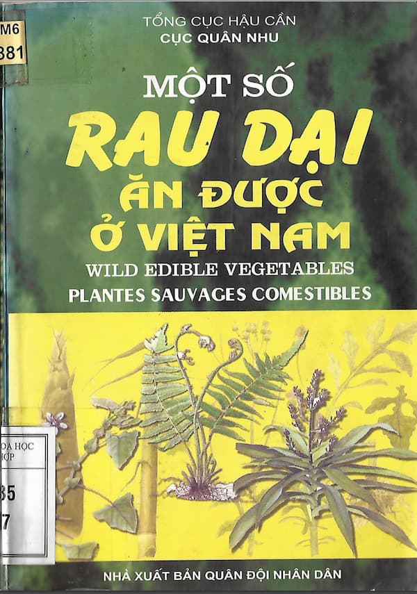 Một số rau dại ăn được ở Việt Nam