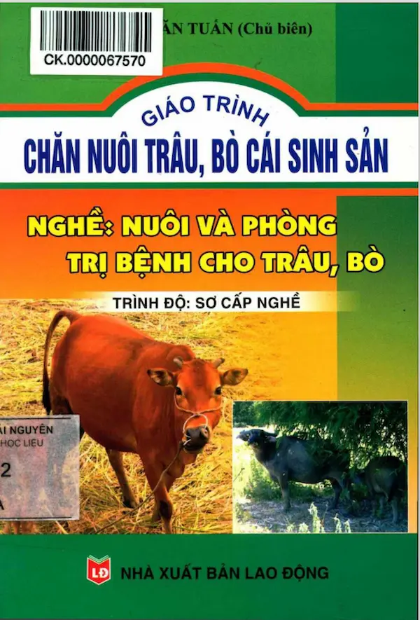 Giáo trình chăn nuôi trâu, bò cái sinh sản: Nghề nuôi và phòng trị bệnh cho trâu, bò